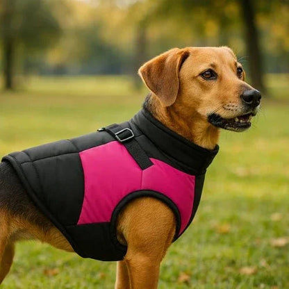 Vetement-chien-Rose-NeoDog