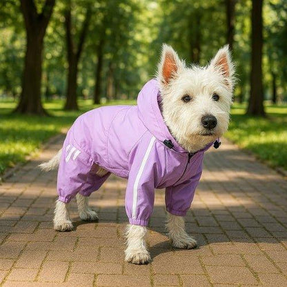 Vetement-chien-Violet-UrbanRain