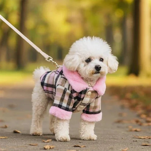 Vetement-pour-chien-Confort-FluffyCharm