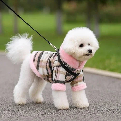 Vetement-pour-chien-Promenade-FluffyCharm