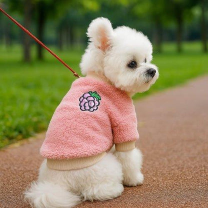 Vetement-pour-chien-Marche-FluffyPup