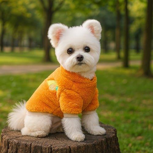 Vetement-pour-chien-Confort-FluffyPup