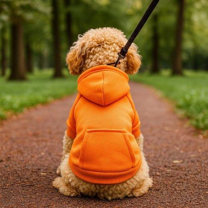 Vetement-pour-chien-Orange-PawHoodie