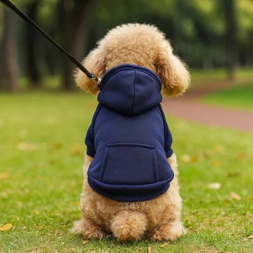 Vetement-pour-chien-Bleu-PawHoodie